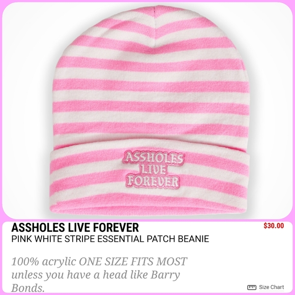 Beanie Assholes Live Forever - Picture 3 of 5